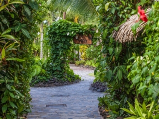 A beautiful paving stone pathway that features a lush tropical garden on the sides to create a safe and gorgeous walkway