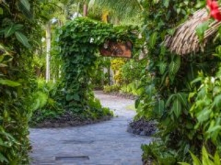 A beautiful paving stone pathway that features a lush tropical garden on the sides to create a safe and gorgeous walkway