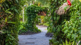 A beautiful paving stone pathway that features a lush tropical garden on the sides to create a safe and gorgeous walkway