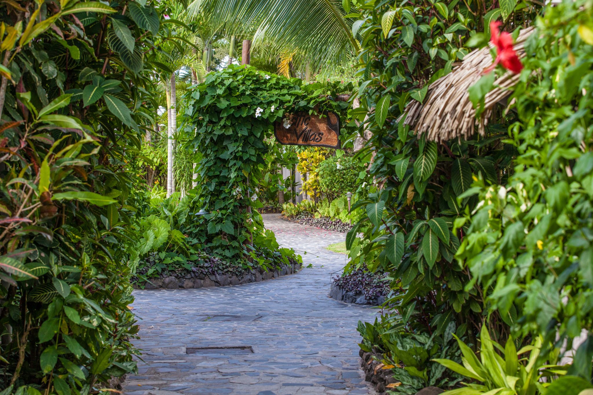 A beautiful paving stone pathway that features a lush tropical garden on the sides to create a safe and gorgeous walkway