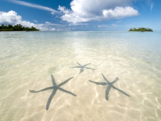 Three beautiful star fish in the Muri lagoon, a clear side image taken during the day that features islets with a lagoon cruiser berthed at each shore and a raving blue and white sky in the background