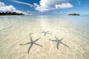 Three beautiful star fish in the Muri lagoon, a clear side image taken during the day that features islets with a lagoon cruiser berthed at each shore and a raving blue and white sky in the background