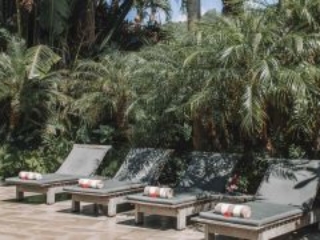 image of 4 pool deck chairs neatly lined-up under green palms with beach towels rolled on each side