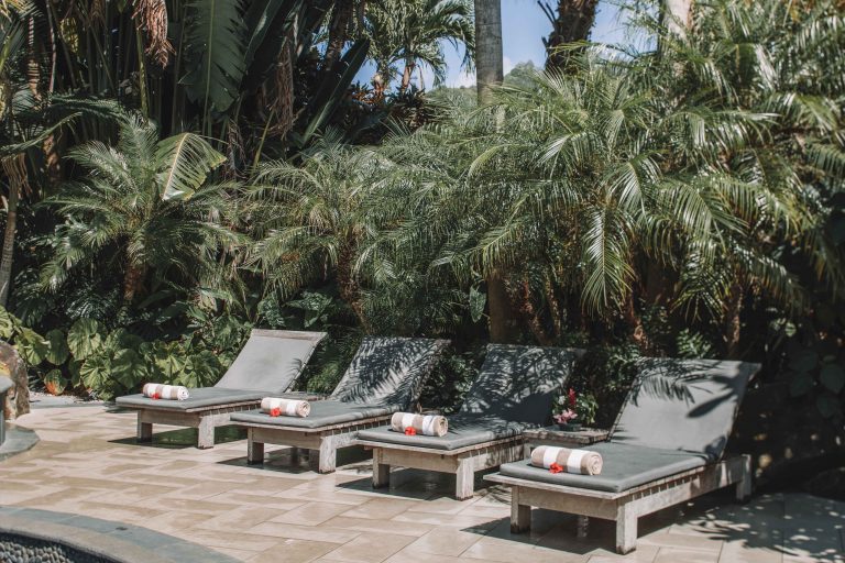 image of 4 pool deck chairs neatly lined-up under green palms with beach towels rolled on each side