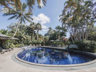 image of the swimming pool and neatly-arranged pool lounges captured on a clear day that gives a breath taking contrasting back ground view of the tropical lush garden and blue sky