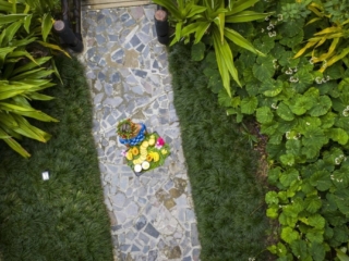 an aerial image of the delicious tropical fruit platter held by a resort staff standing on a paved pathway featuring the glossy green garden on each side of the pathway
