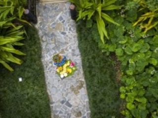an aerial image of the delicious tropical fruit platter held by a resort staff standing on a paved pathway featuring the glossy green garden on each side of the pathway