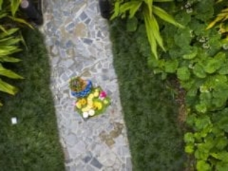 an aerial image of the delicious tropical fruit platter held by a resort staff standing on a paved pathway featuring the glossy green garden on each side of the pathway
