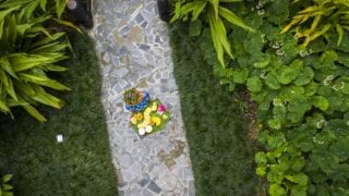 an aerial image of the delicious tropical fruit platter held by a resort staff standing on a paved pathway featuring the glossy green garden on each side of the pathway