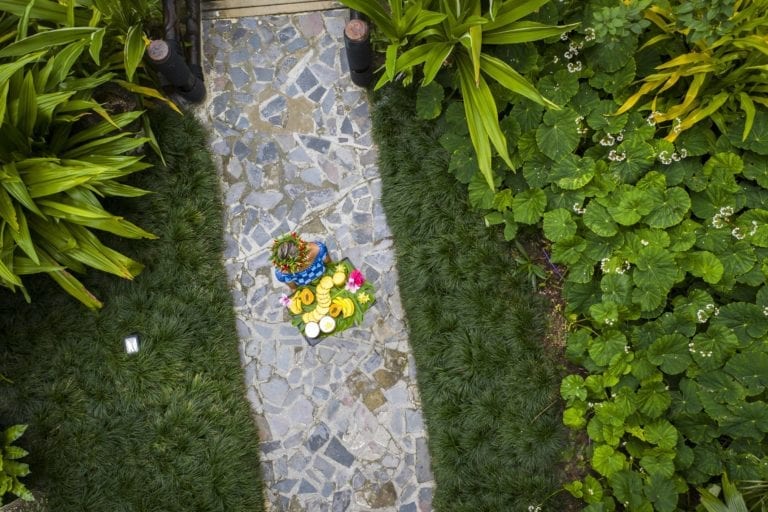 an aerial image of the delicious tropical fruit platter held by a resort staff standing on a paved pathway featuring the glossy green garden on each side of the pathway