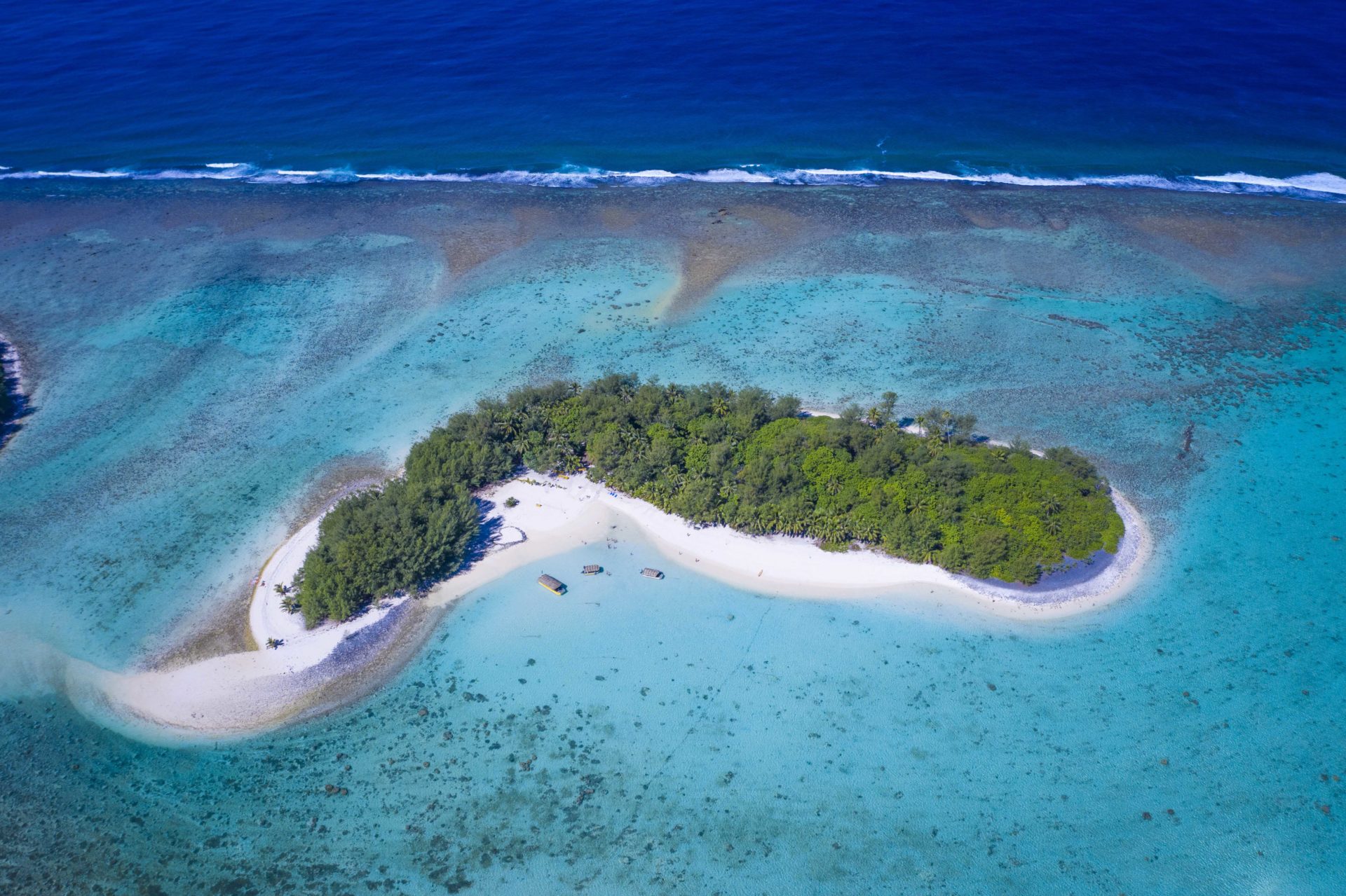 A stunning aerial image of a forest-covered-island on a glowing white sandy beach featuring a aqua-marine shade of lagoon capturing 3 lagoon cruisers berthed off shore and a deep contrasting blue ocean in the background