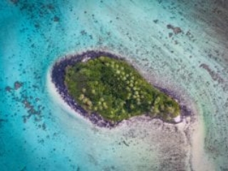 image of a forest-covered-islet in the Muri lagoon showcasing a stunning aqua-blue shade of the lagoon
