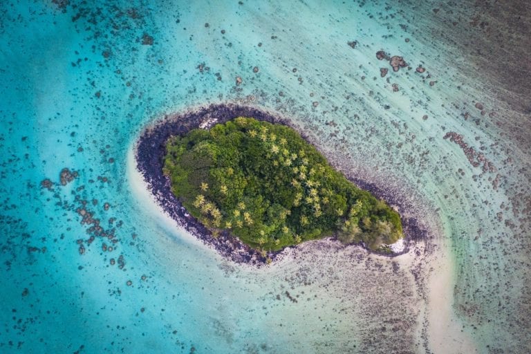 image of a forest-covered-islet in the Muri lagoon showcasing a stunning aqua-blue shade of the lagoon